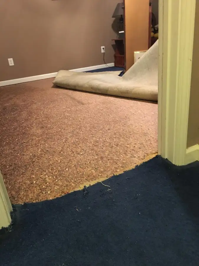 Carpet pad removal revealing water damage during Drying & Dehumidification in Metairie