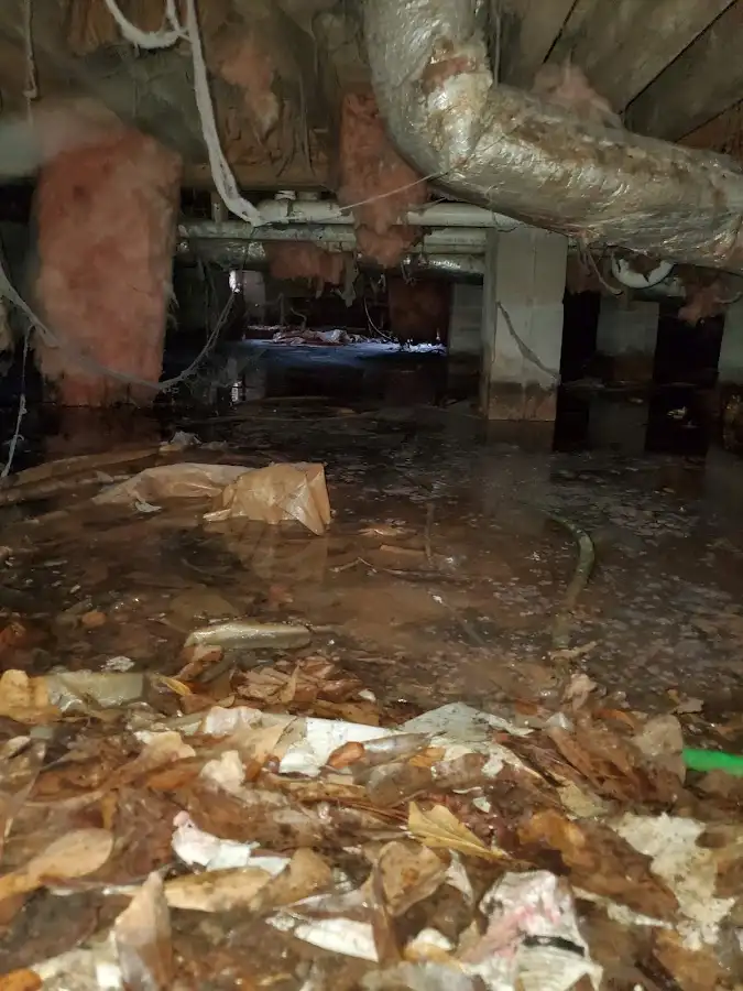 Crawl space flood assessment for Leak Detection & Repair in Metairie